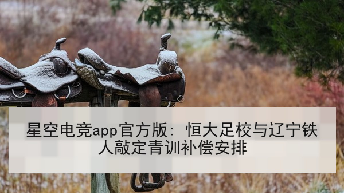 星空电竞app官方版: 恒大足校与辽宁铁人敲定青训补偿安排