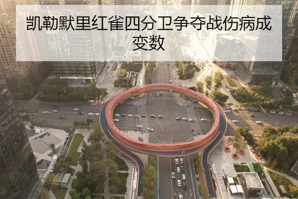 凯勒默里红雀四分卫争夺战伤病成变数