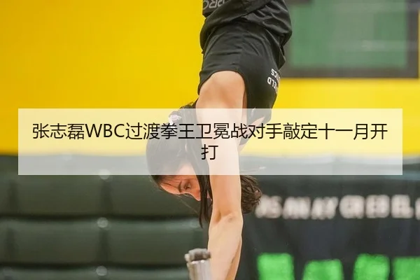 张志磊WBC过渡拳王卫冕战对手敲定十一月开打